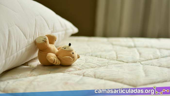 ¡Te damos la bienvenida a camasarticuladas.org!